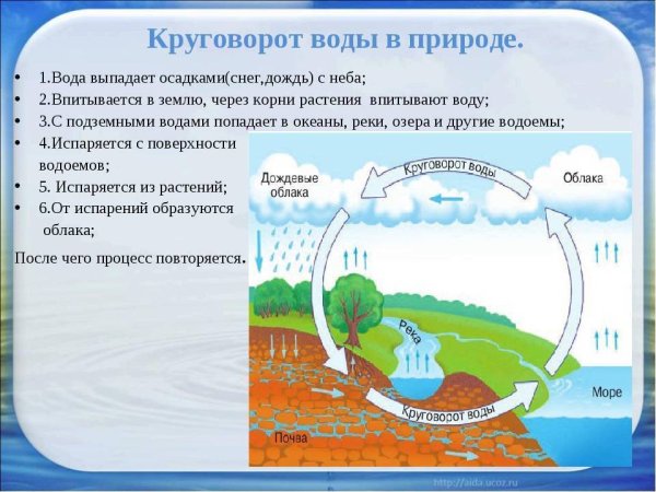 Круговорот воды в природе схема