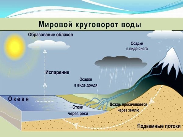 Круговорот воды в природе 5 класс Естествознание