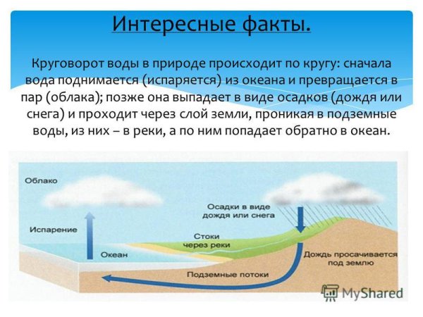 Схема круговорота воды в природе для дошкольников