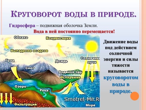Круговорот воды в природе для детей