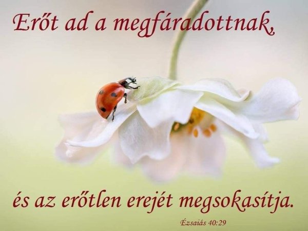 Открытки солнечных выходных