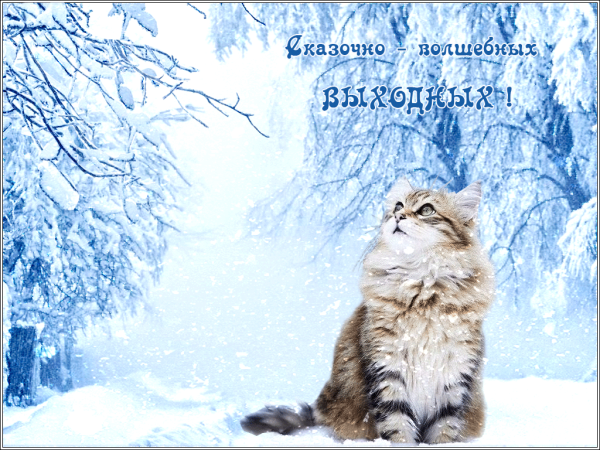 Хороших выходных зима