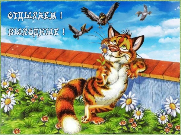Открытки веселых выходных