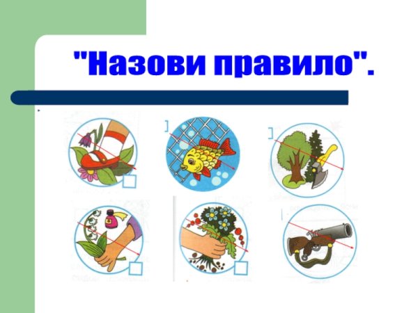 Друзья на природе