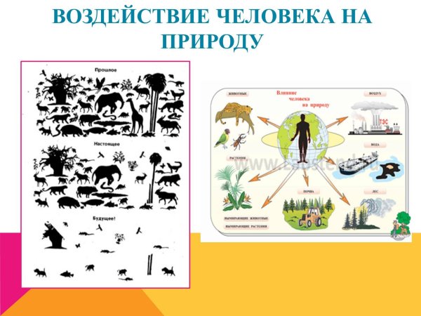 Рисунок на тему воздействие человека на природу
