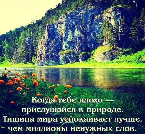 Доброе утро жизнь