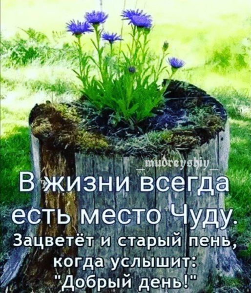 Пожелание верь в чудеса