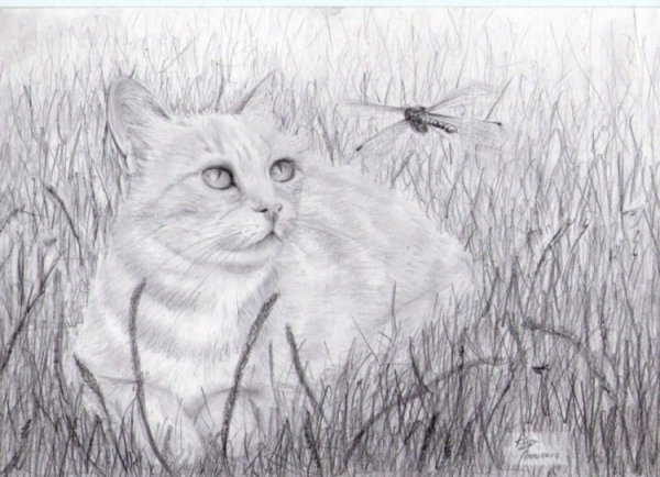 Рисунки для срисовки природа