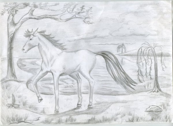 Рисунки леса для срисовки