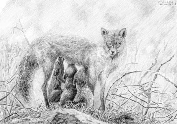 Картинки лошадей карандашом