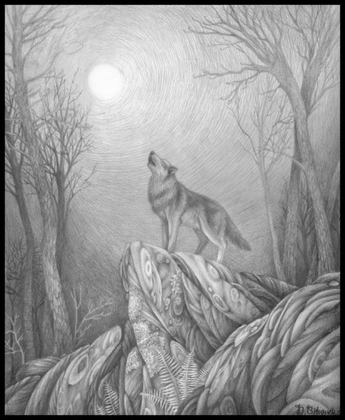 Раскраска. Лошади