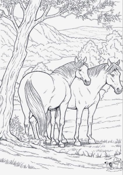 Раскраска олень в лесу