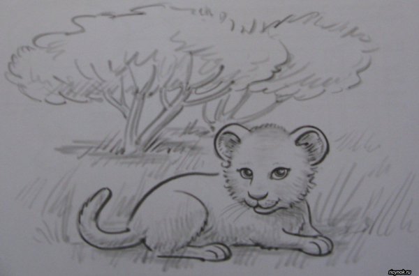 Зимний пейзаж карандашом