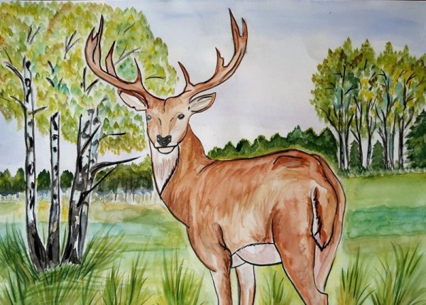 Лебедь карандашом