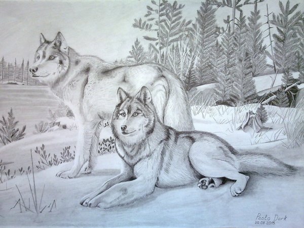 Охотничьи пейзажи карандаш