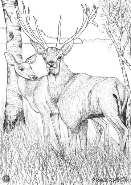 Paul Krapf картины