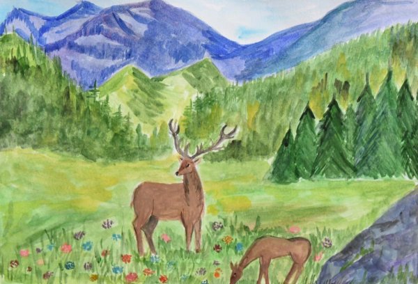 Раскраска олень в лесу