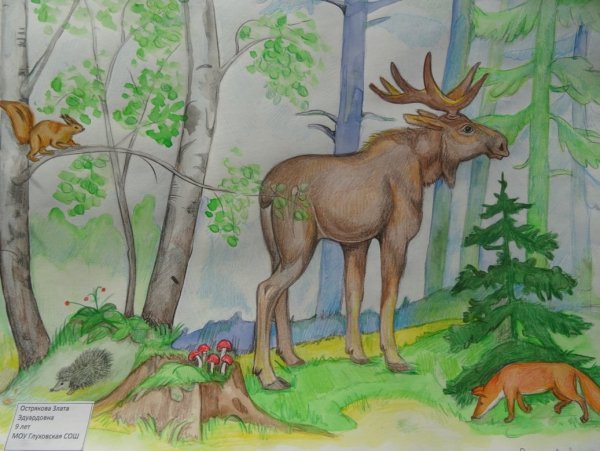 Волчонок эскиз