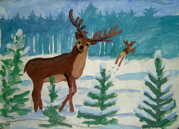 Тундра рисунок