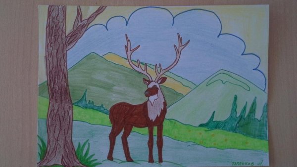 Рисунки природы