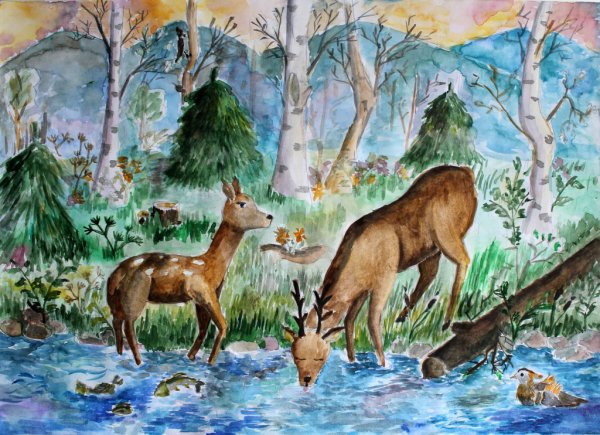 Рисунки карандашом природа и животные