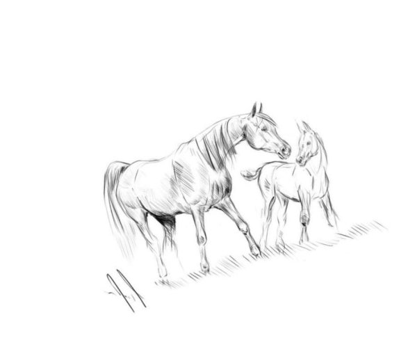 Картина заповедника Республики Алтай