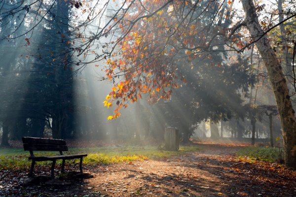 Дождливая осень
