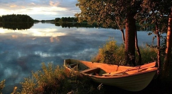 Лес река лодка