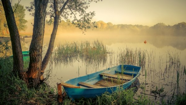 Лодка на воде