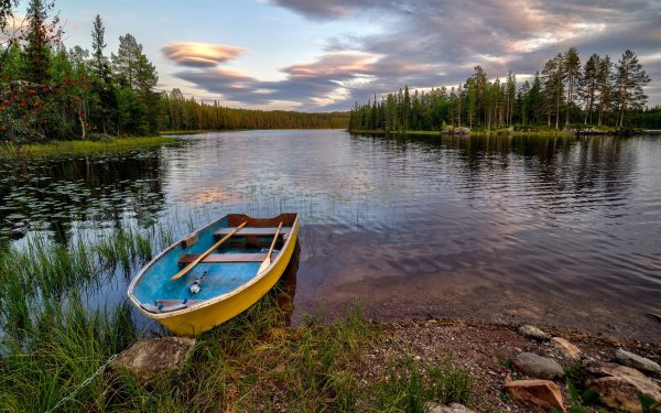 Тихая заводь пруда