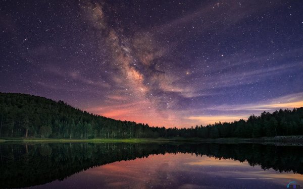 Ночная природа