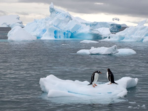 Антарктида climate
