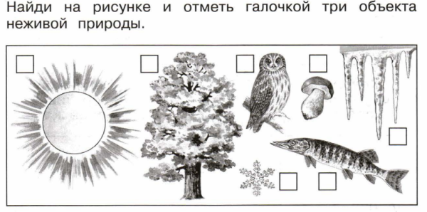 Распредели Живая и неживая природа