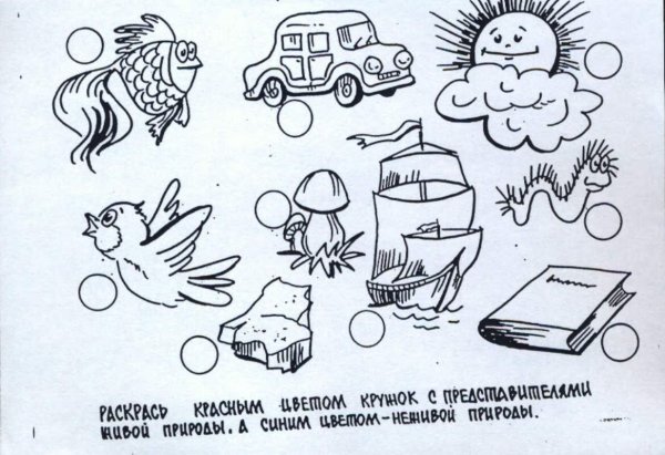 Неживая природа карандашом