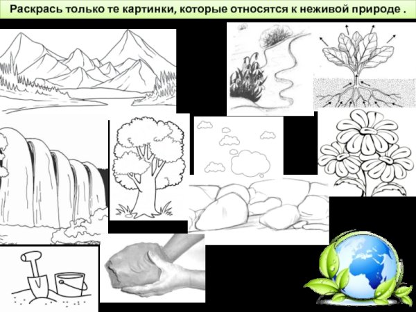 Автоматизация звука з задания для дошкольников