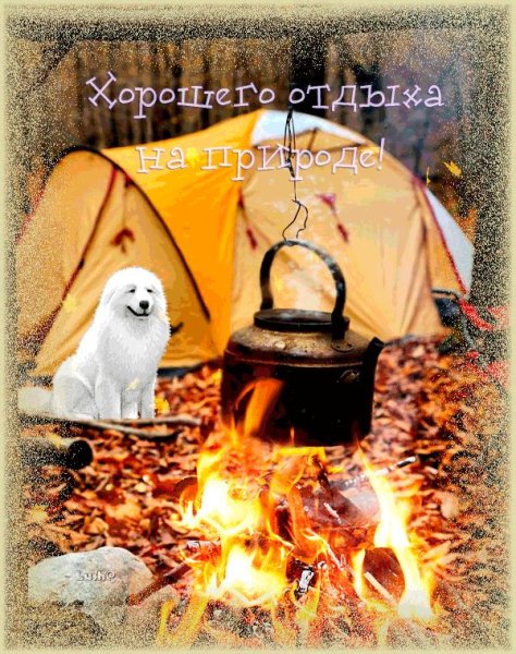 Открытки отличного отдыха на природе