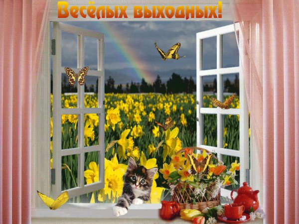 Солнечных выходных и отличного настроения