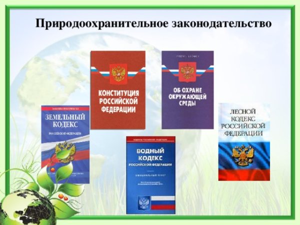 Правило по экологии