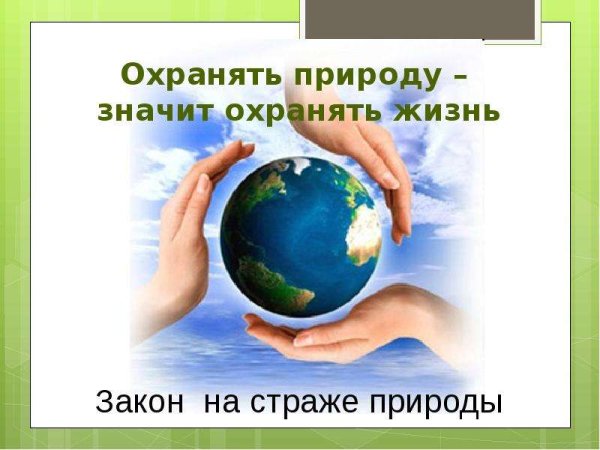 Закон на страже природы