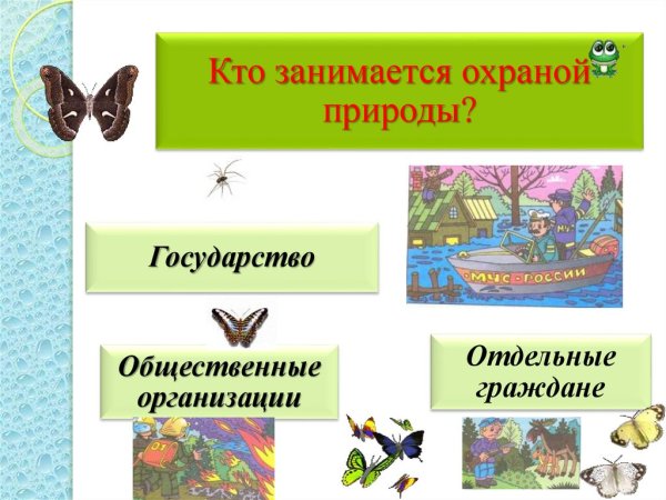 Максимов Эдуард природ охрана природы
