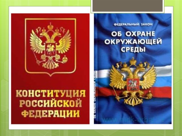 Закон на страже природы