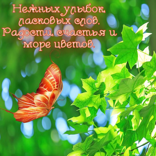 Открытки с пожеланиями