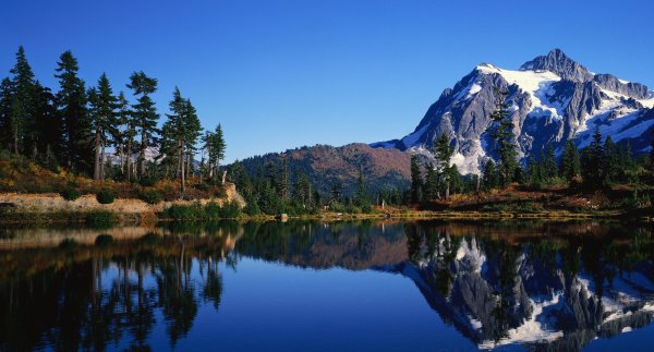 Альпийские Луга Швейцария
