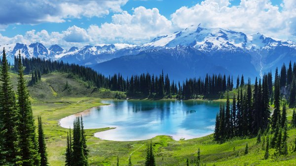 Горы лес море