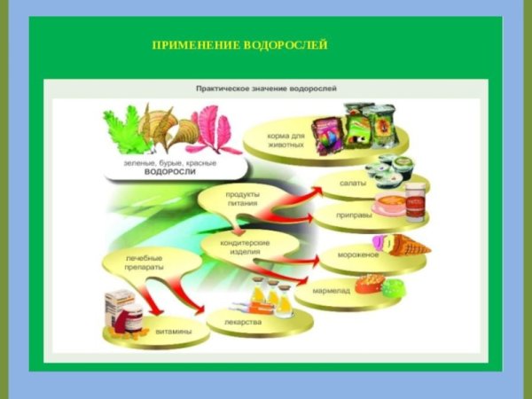 Применение водорослей