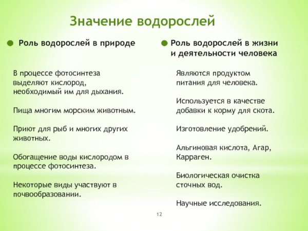 Значение водорослей в природе и жизни человека 5 класс биология