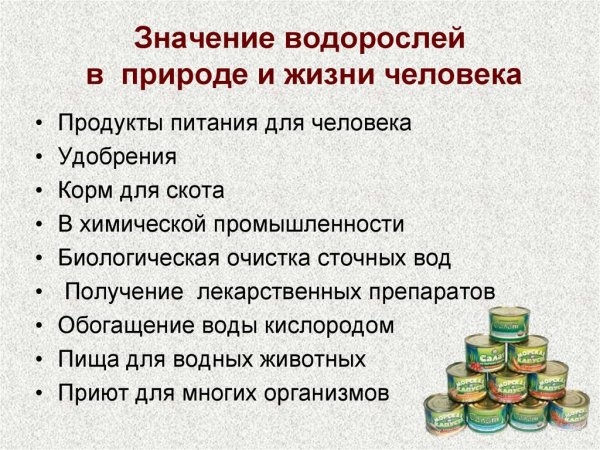 Водоросли их разнообразие