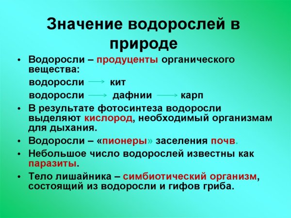 Значение водорослей в природе