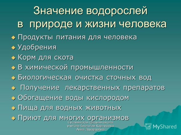 Роль водорослей в природе и жизни человека