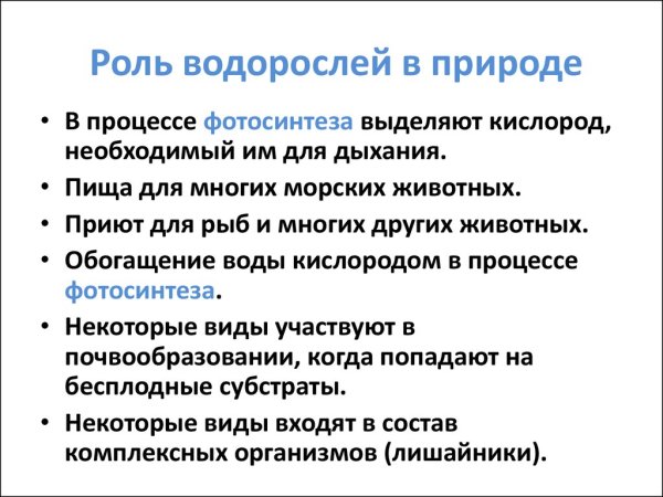 Роль бурых водорослей в жизни человека